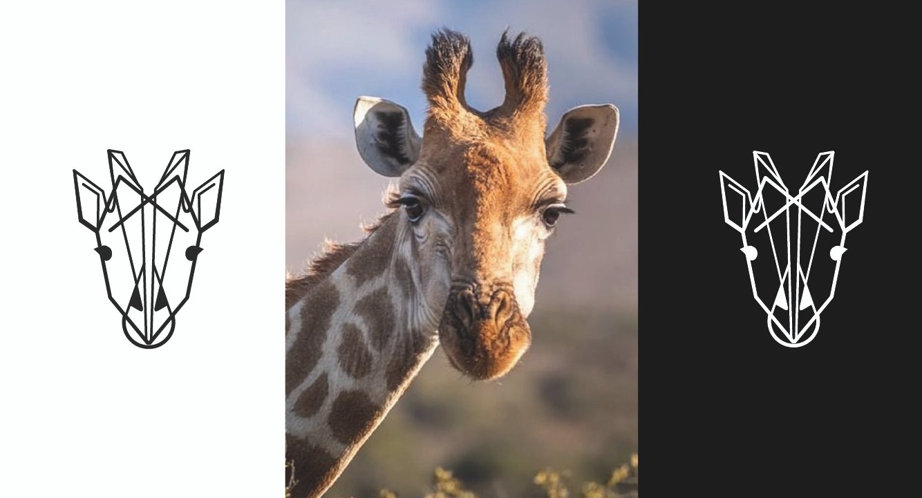 Diseño de Branding - Mejor Agencia de Branding