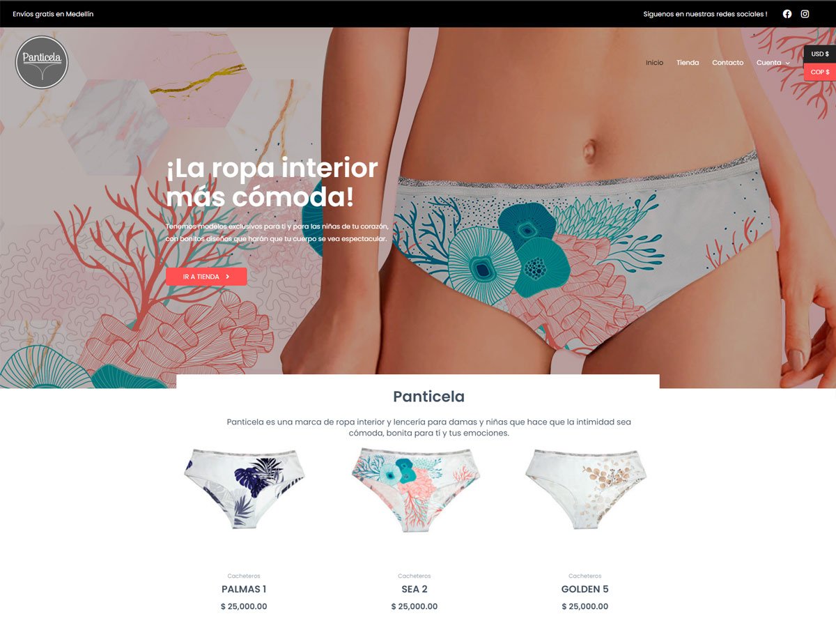 Diseño de Páginas web en Costa Rica - Agencia web en Costa Rica